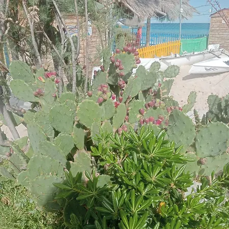 Juno's Konukevi *